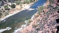 Hawks Head