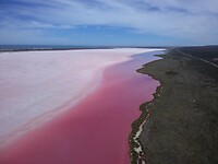 Pink lake Hutt Lagoon