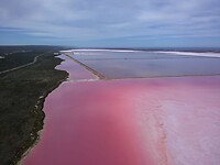 Pink Lake,  Hutt Lagoon