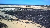 Pinnacles dessert,  Nambung NP