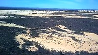 Pinnacles Dessert, Nambung NP
