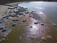 Lake Thetis en de stromatolieten