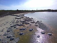 Lake Thetis en de stromatolieten