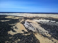 Pinnacles dessert in Nambung NP
