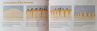 Mogelijke verklaring ontstaan Pinnacles