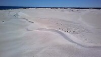 Lancelin zandsurfen