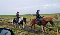 Ijslanders