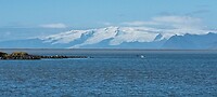 Baai Hofn