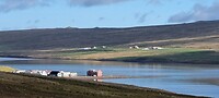Huisjes aan de baai van Hurafjordur