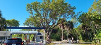Entree Billbagscape Florida State NP