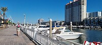 Haventje Tampa