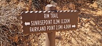 rim trail sunrise point