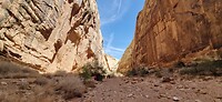 Capitol Gorge  trail