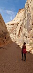 Capitol Gorge trail