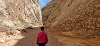 Capital Gorge trail
