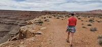Goosenecks State park