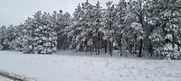Prachtige sneeuwtaferelen onderweg