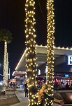 verlichtte palmbomen in Phoenix