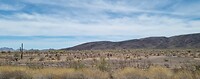 Desolate woestijn met Saguaro cactussen