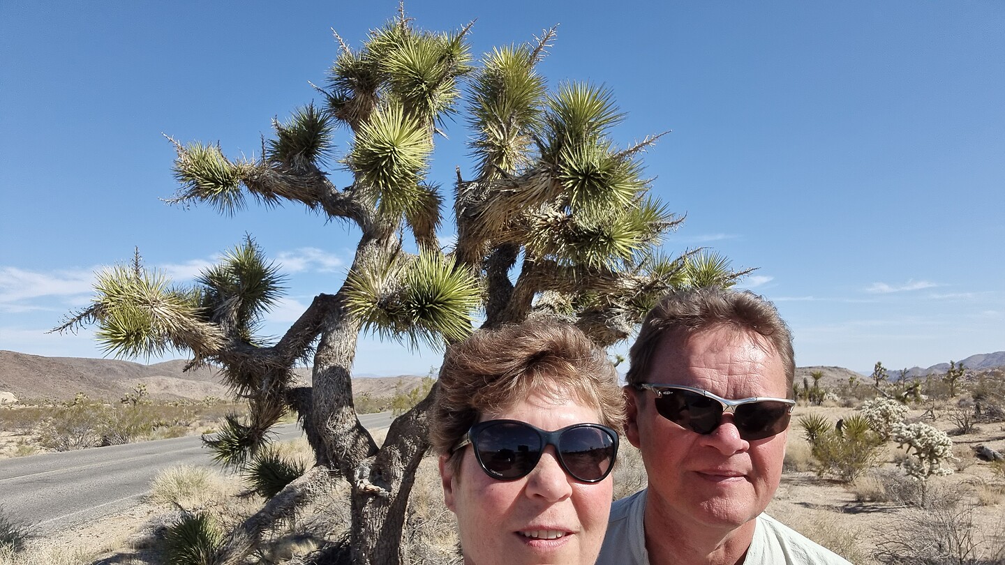 Een grote Joshua Tree en de twee gekkies