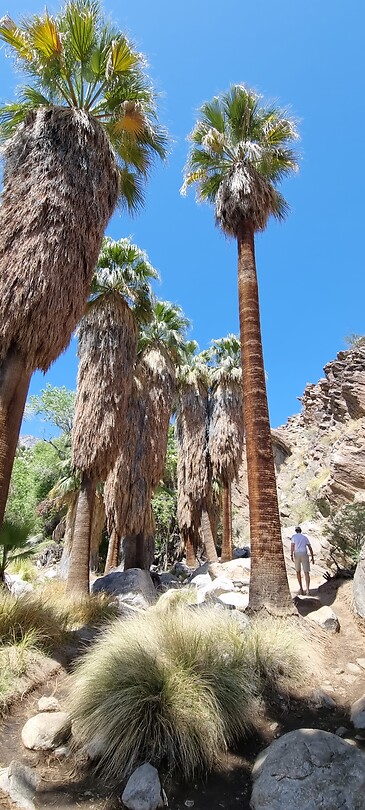 Andre's canyon
