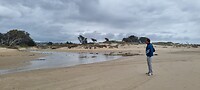 Even kijken naar de vogels op het strand
