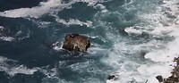 uitkijkpunt op de zeeolifanten