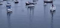 de visafslag in Monterey