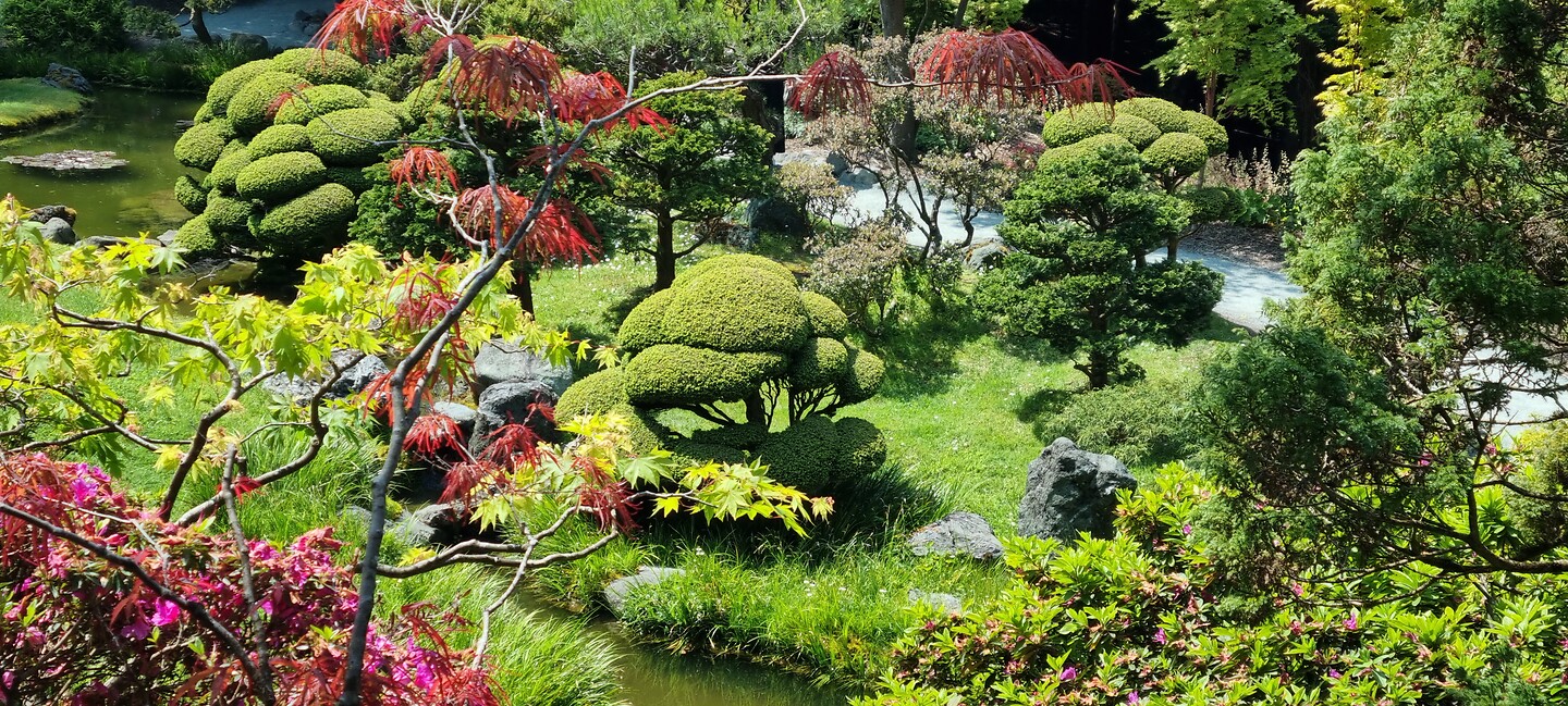 Japanse Tuin