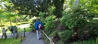 In Japanse tuin San Fransisco