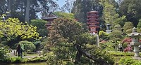 in de Japanse tuin