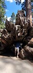 In Kings Canyon