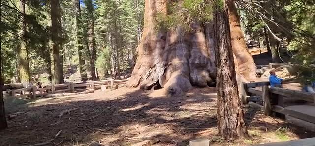 General Sherman himself