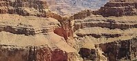 Raven in de Canyon