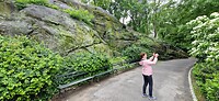 In Central Park