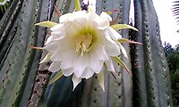 IMG_20230124_102509