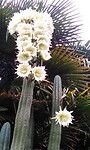 IMG_20230124_102421