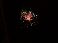 DSC00537