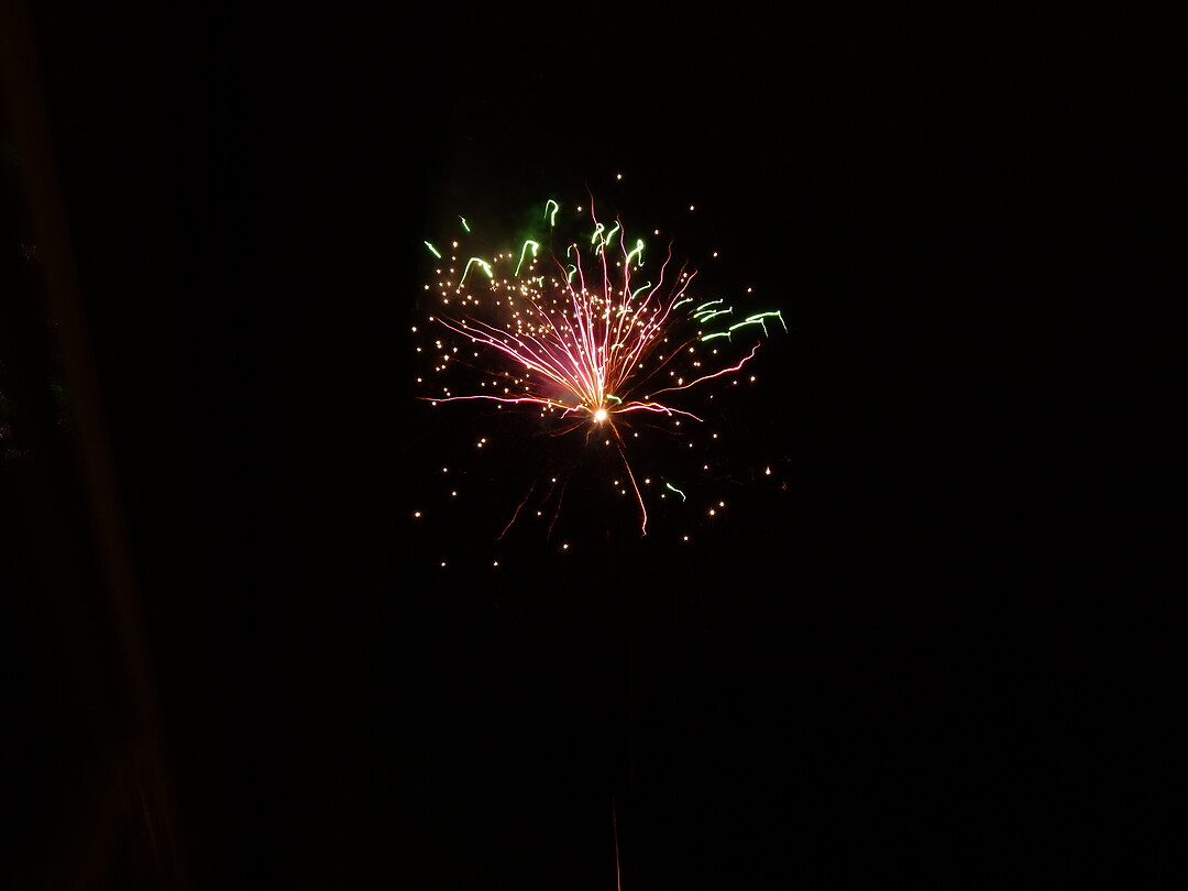 DSC00537