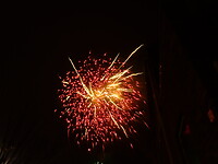 DSC00533