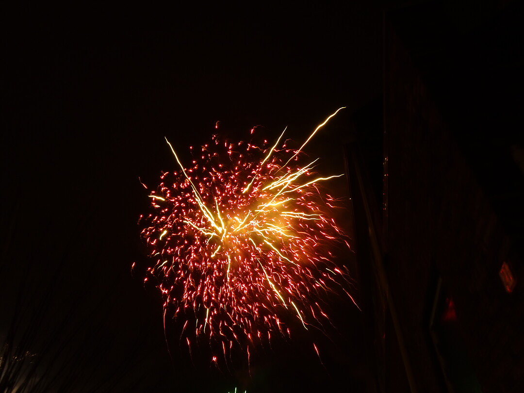 DSC00533