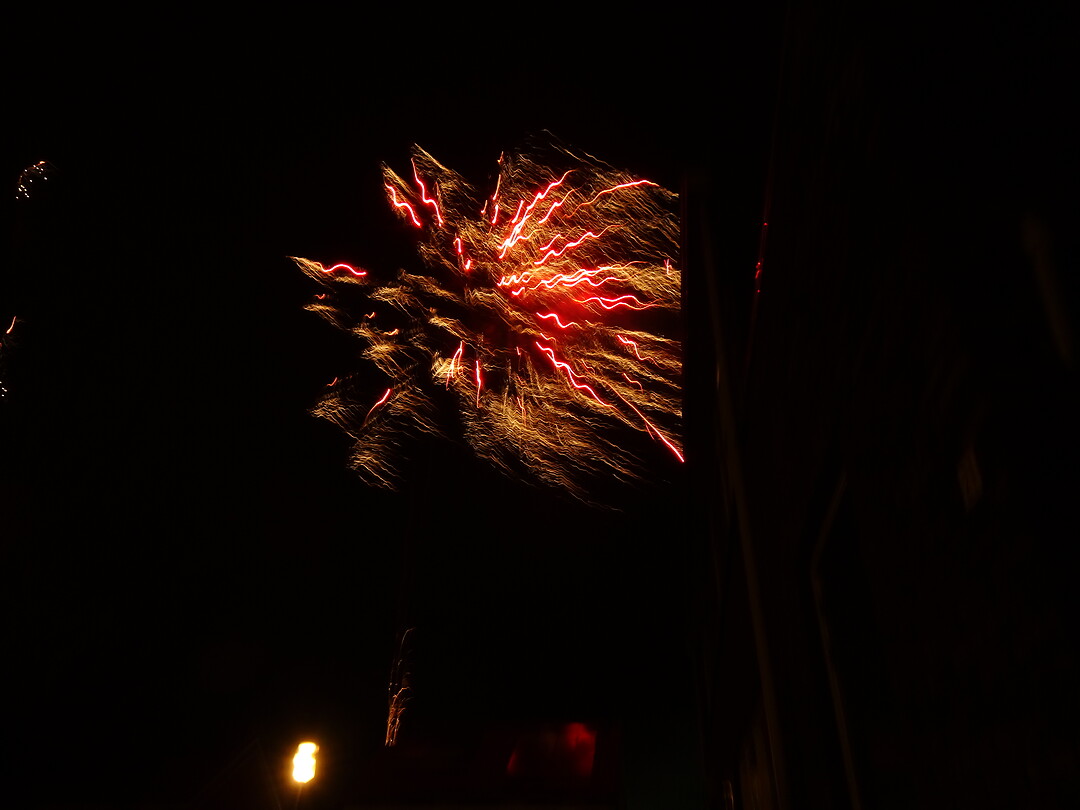 DSC00529