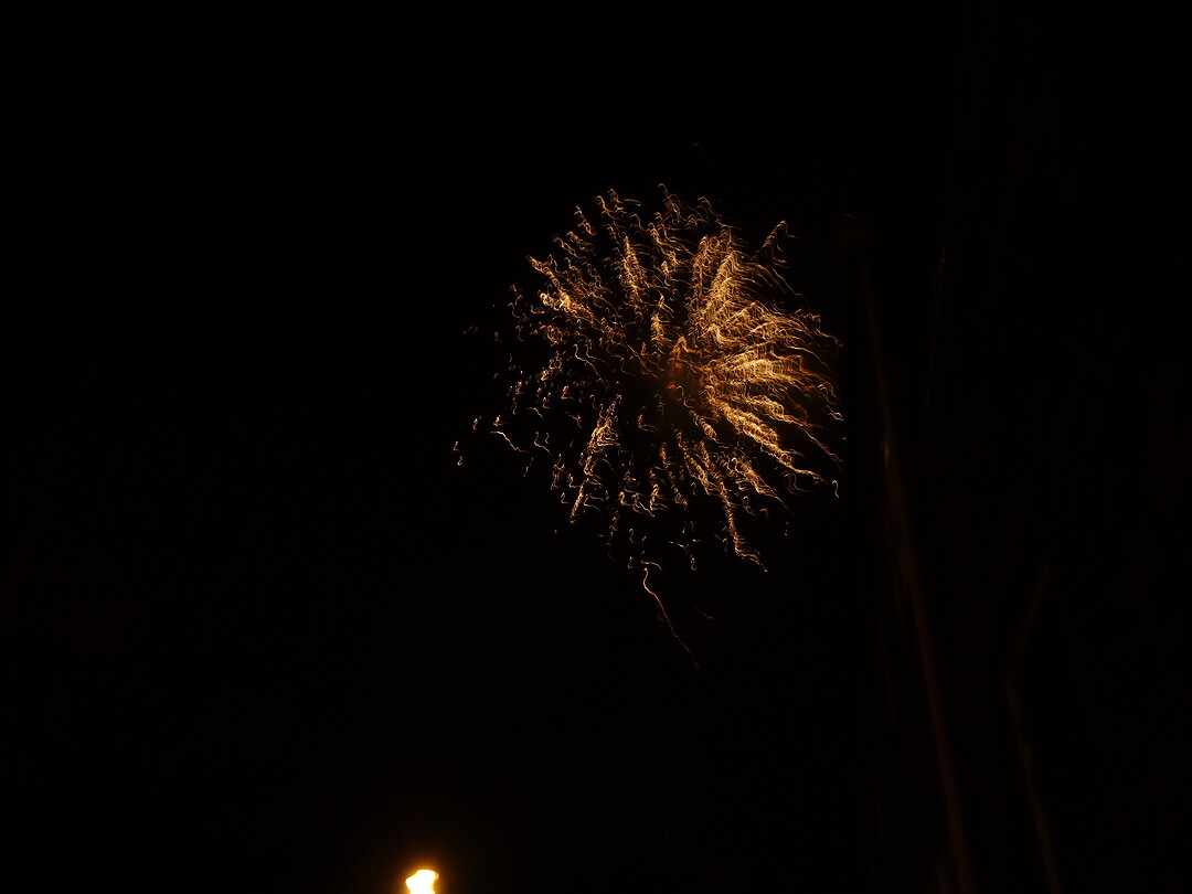DSC00528