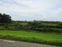 DSC02364