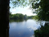 DSC02599[1]