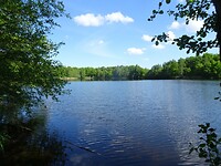 DSC02598[1]