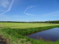 DSC02597[1]