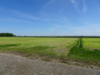 DSC02596[1]