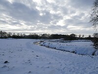 P1000455