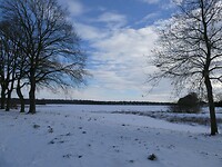 P1000453